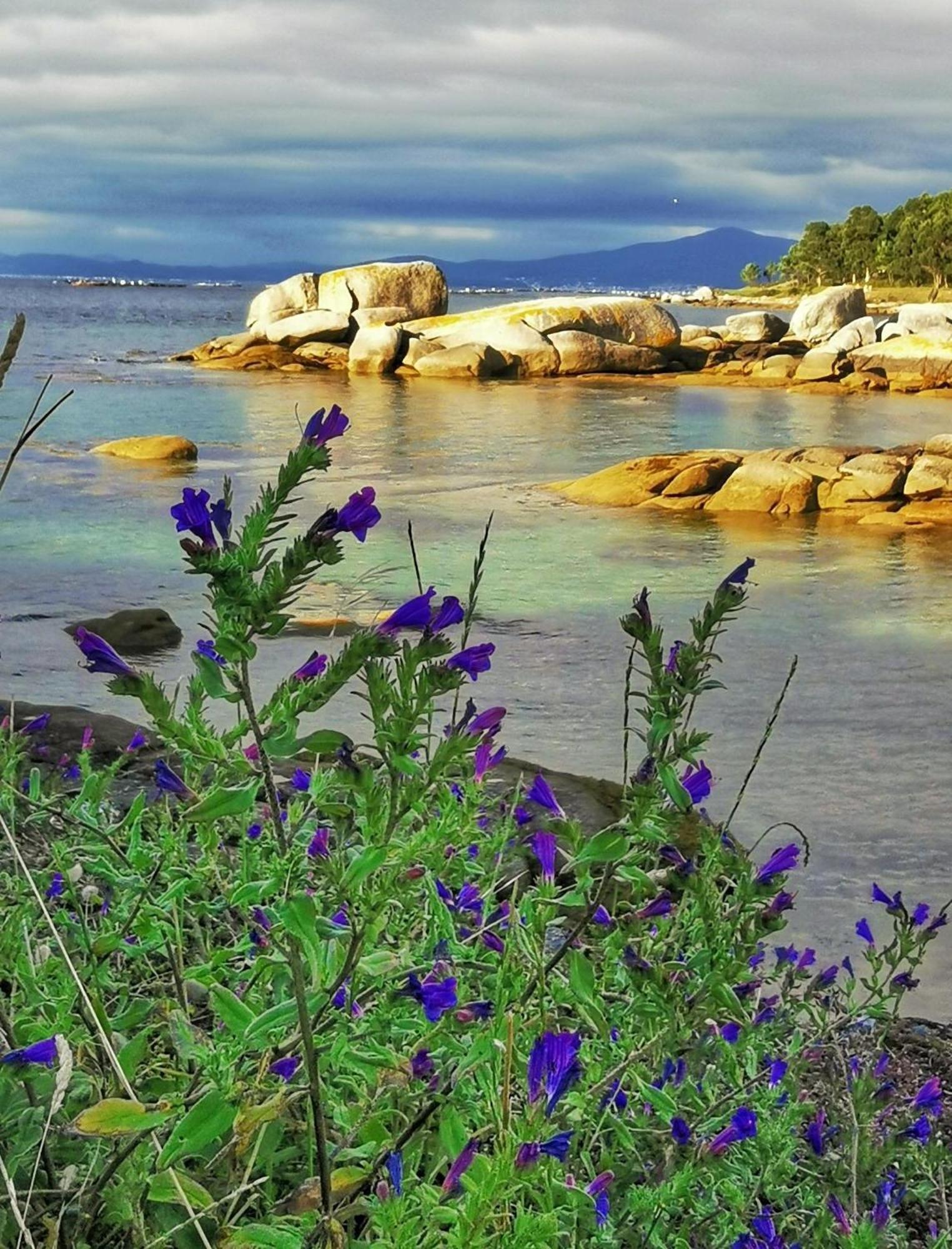 Ravella Vilagarcia De Arousa Exteriör bild